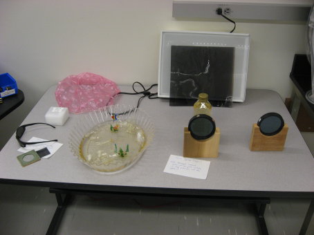 Birefringence and Optical Activity Demo Picture 2
